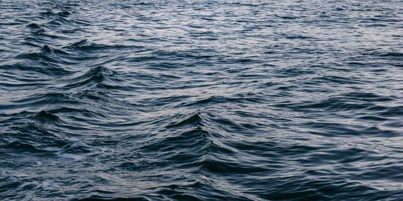 作物监测：农业科技驱动下的精准农业新范式