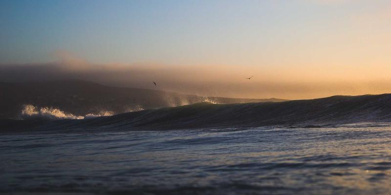 农业声学监测：精准农业的听觉革命，用声音守护作物与动物健康