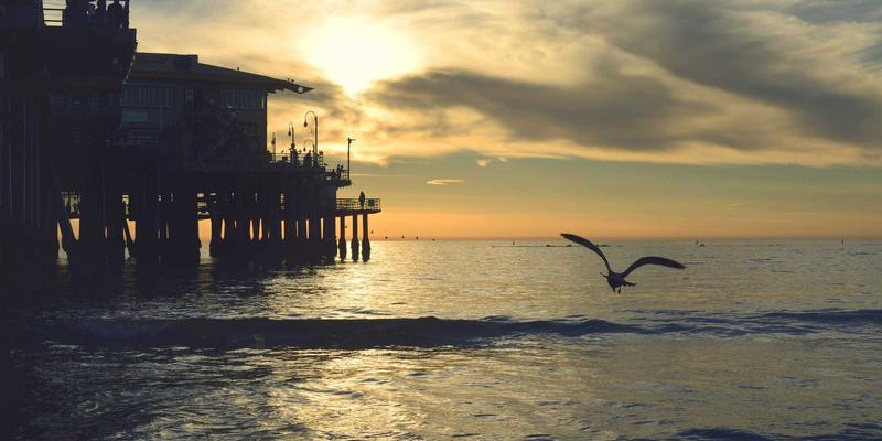 农业机器人集群协同作业：从自动化采摘到智能植保的未来图景