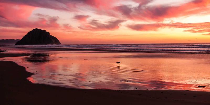 农业知识图谱：构建智能知识库驱动精准农业与作物监测