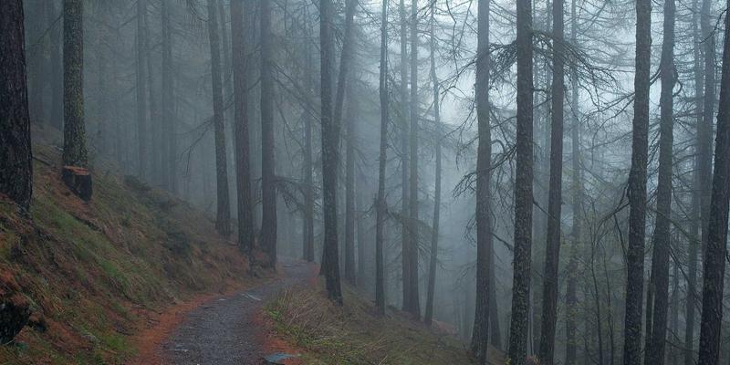 农业科技22：数据分析、精准农业与视觉技术如何重塑现代农业