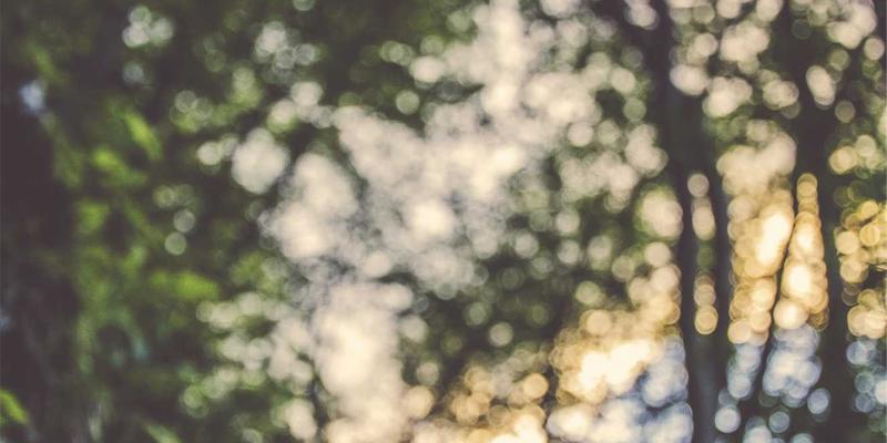 农业科技3.0：精准农业、智慧农业与农业视觉如何重塑现代农业格局