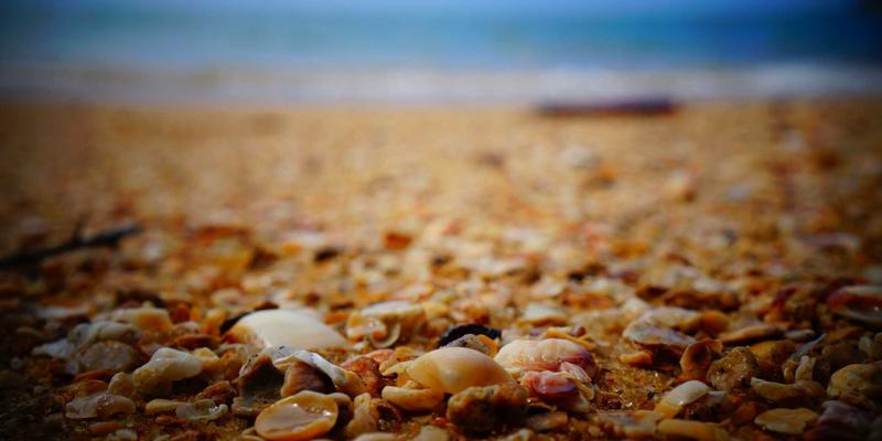 农业科技50：精准农业、作物监测与智慧农业如何重塑现代农业格局