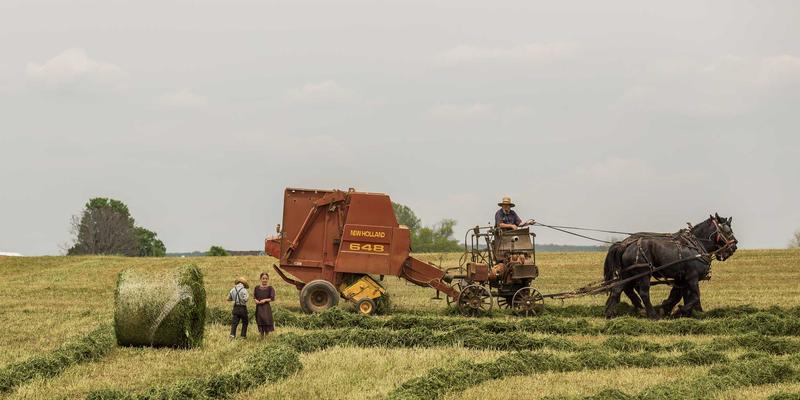 农业科技5.2：作物监测技术如何重塑智慧农业新格局