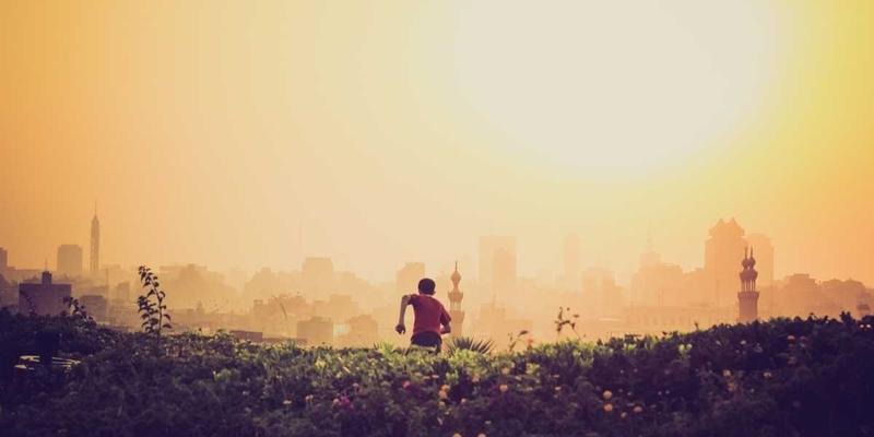 农业科技61：数据分析与精准农业如何重塑作物监测新范式