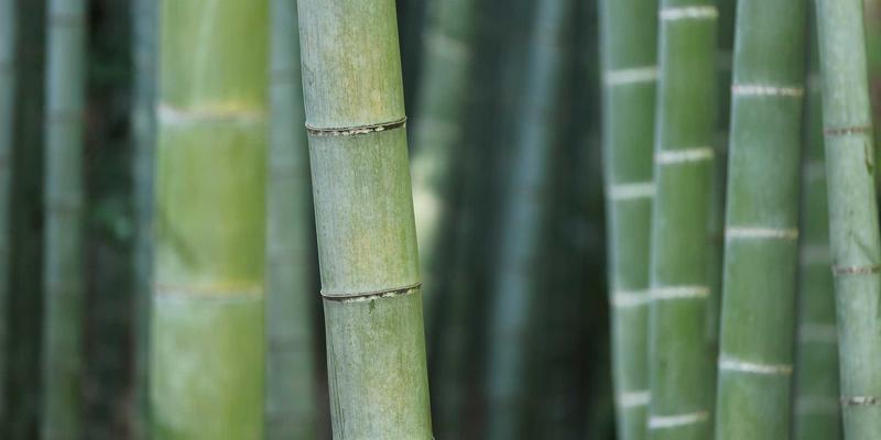 农业科技68：数据分析如何重塑智慧农业新生态