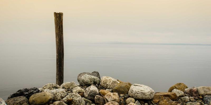 农业科技80：精准农业与数据分析如何重塑现代农业格局