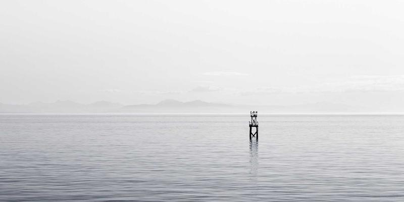 农业科技84：作物监测如何驱动精准农业新变革