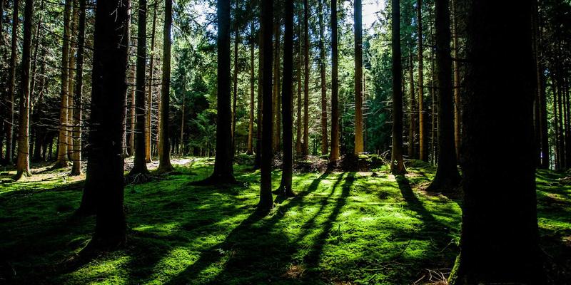 农业科技85：智慧农业、数据分析与精准农业如何重塑现代农业格局