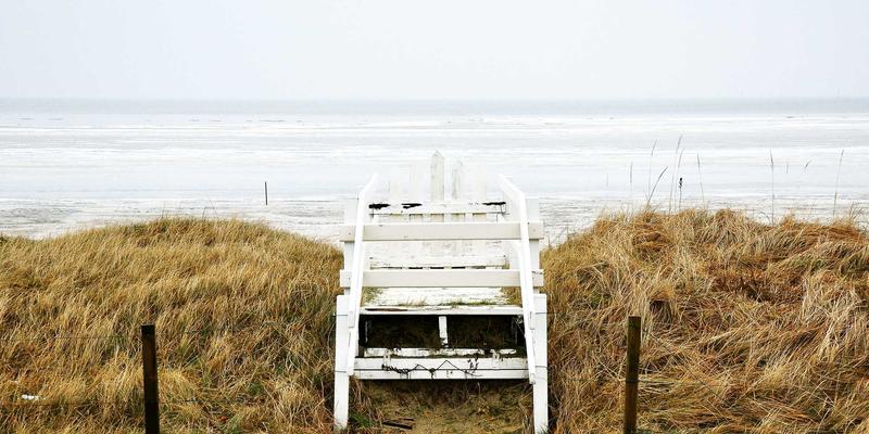 农业科技新浪潮：微生物菌剂与生物刺激素如何通过数据分析驱动精准绿色种植