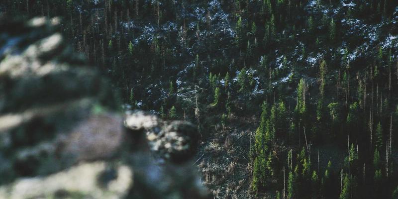 农业科技新浪潮：精准农业与视觉技术如何重塑现代农业