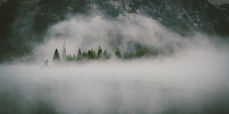 农业科技新突破：人工智能预测模型如何精准预估主要粮食作物产量