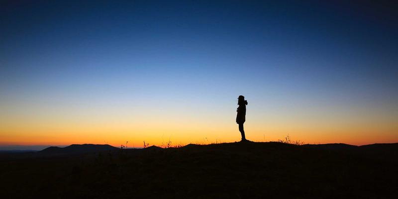 农业科技新突破：微生物菌剂在土壤修复与地力提升中的效果评估与数据分析
