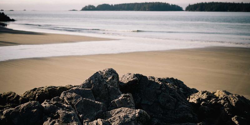 农业科技进阶：从精准农业到数据驱动决策的变革之路