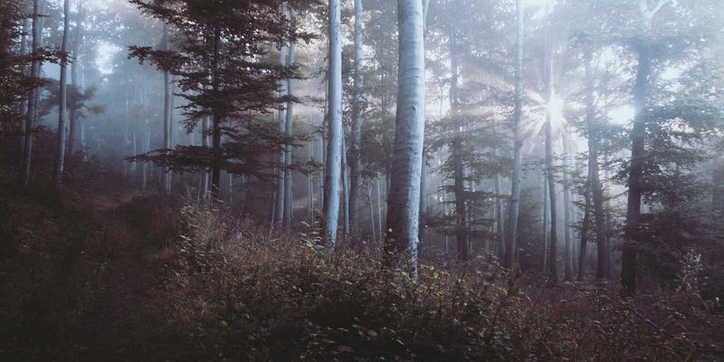 农业视觉与数据分析：基于机器学习的农产品价格预测与种植结构优化