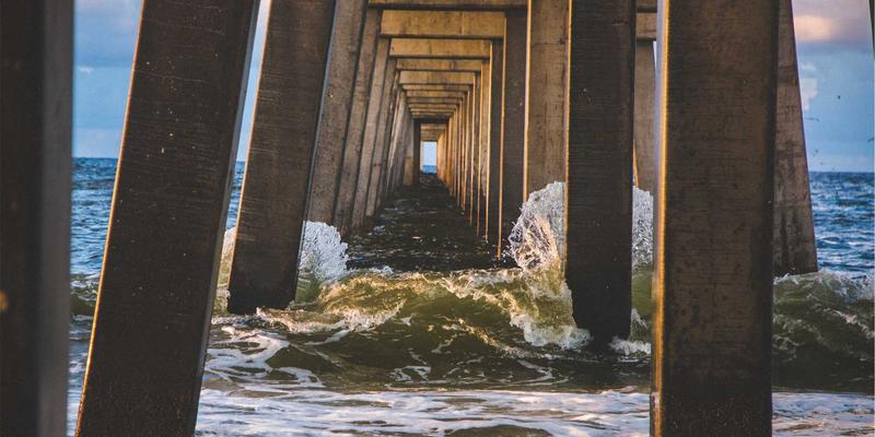 农业视觉：作物监测技术如何重塑现代农业科技