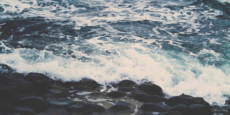 区块链+农业视觉：重塑农产品溯源体系，以科技构建消费者信任基石