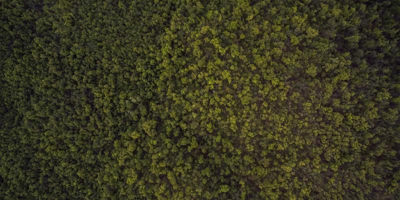 智慧农业新引擎：农业科技园区如何以产学研融合驱动区域创新