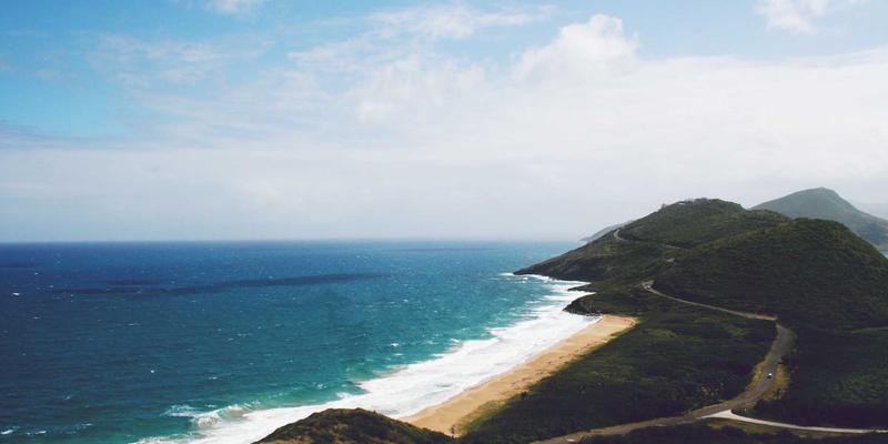 智慧农业新篇章：CRISPR基因编辑如何培育抗病高产特色经济作物