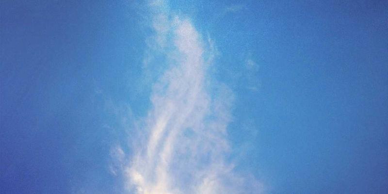 智慧农业新范式：边缘计算与AI轻量化如何实现田间病虫害实时精准识别