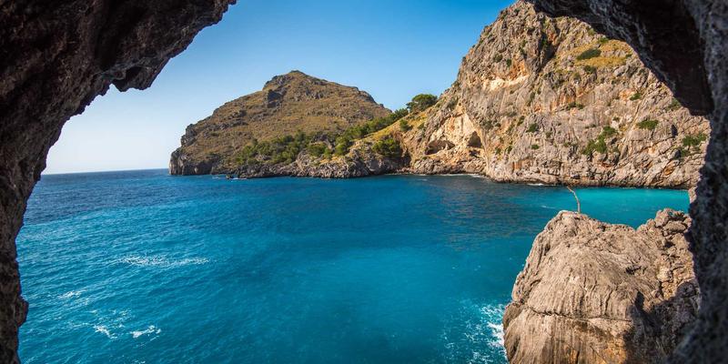 精准农业新前沿：CRISPR基因编辑如何培育抗病经济作物，农业数据分析是关键