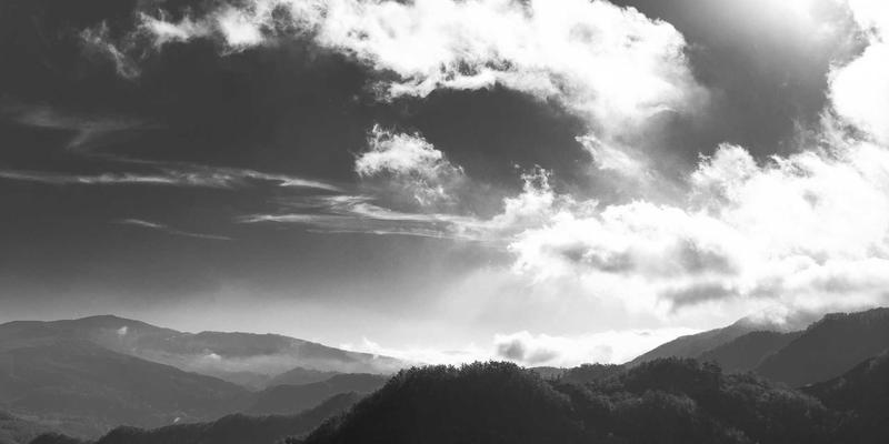 精准农业新引擎：农业大数据平台如何重塑作物产量预测与灾害预警