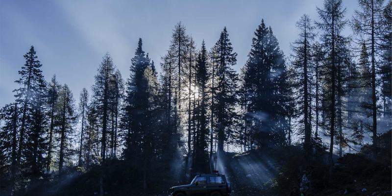 精准农业新突破：LED光配方优化如何提升叶菜品质与产量