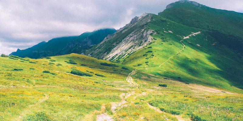 精准农业新视界：基于多光谱成像的作物养分胁迫早期无损诊断技术